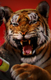 BENGAL CAMPAIGN